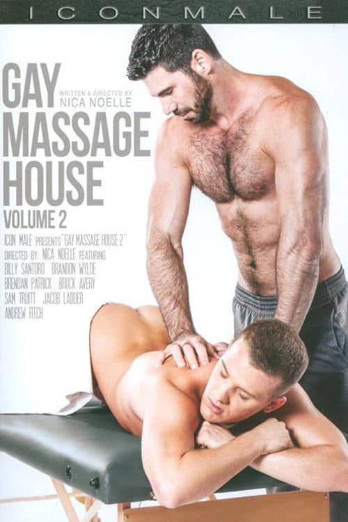 Постер: Gay Massage House 2