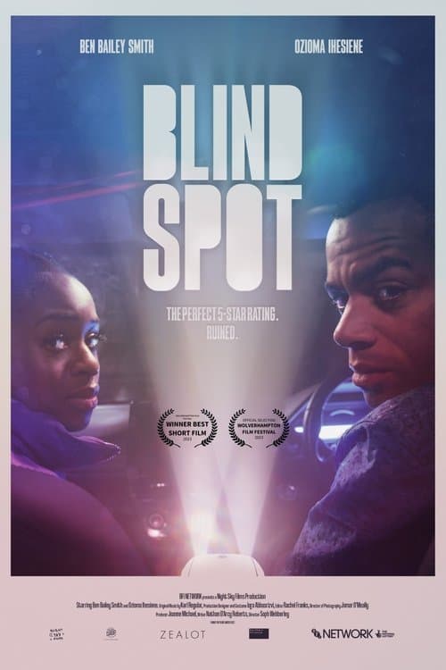 Постер: Blind Spot