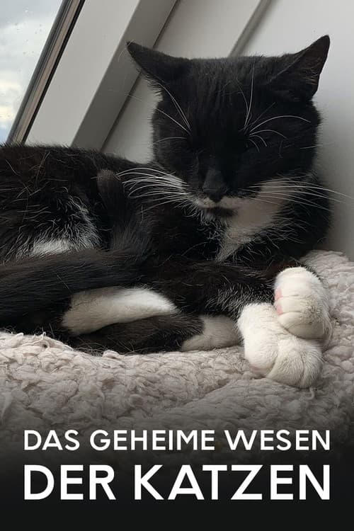 Постер: Das geheime Wesen der Katzen