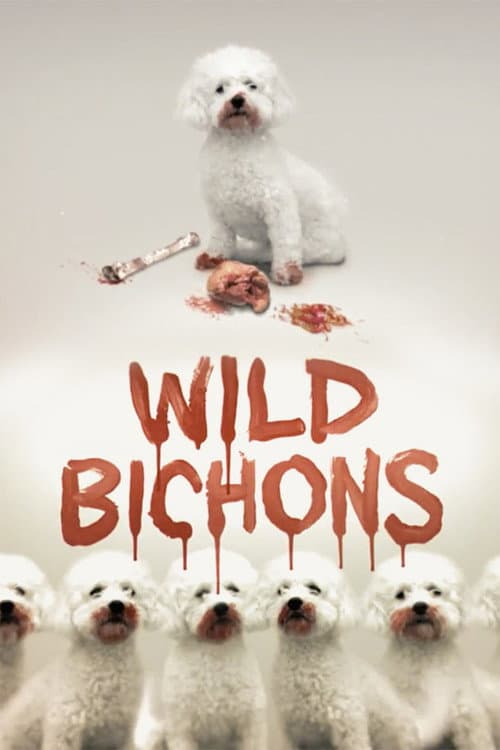 Постер: Wild Bichons