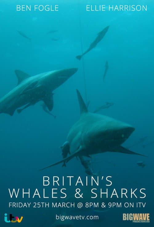 Постер: Britain's Whales and Sharks