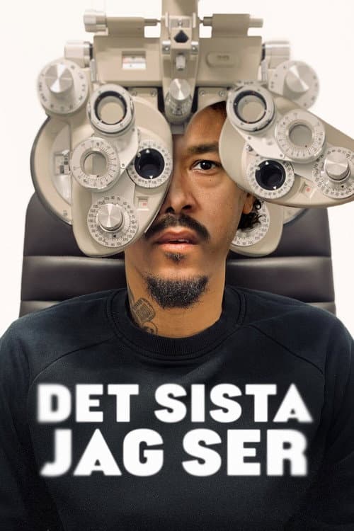 Постер: Det sista jag ser