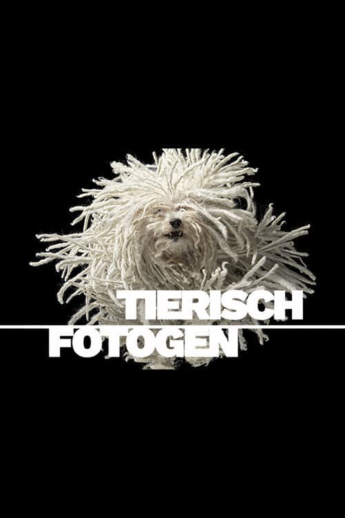 Постер: Tierisch fotogen