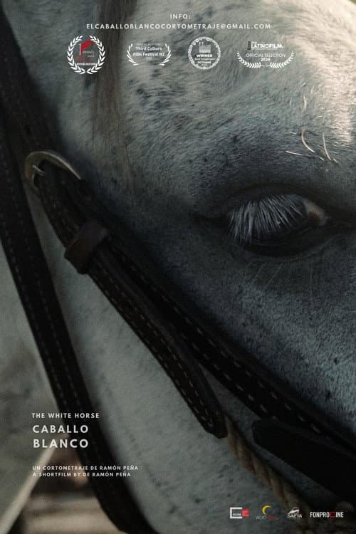 Постер: Caballo Blanco