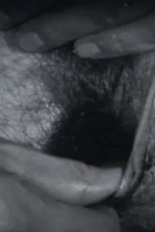 Постер: Black Balls
