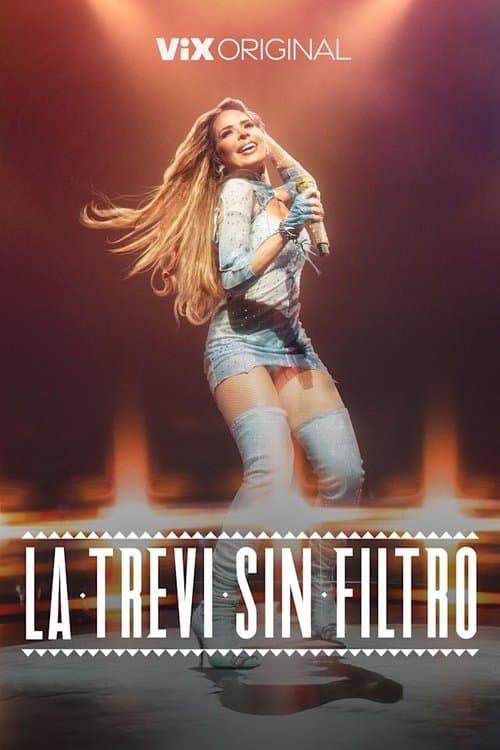 Постер: La Trevi sin filtro