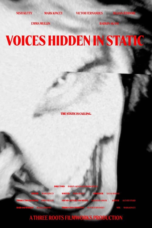 Постер: Voices Hidden in Static