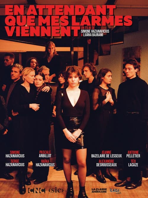 Постер: En attendant que mes larmes viennent