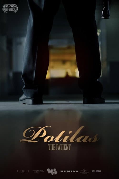 Постер: The Patient