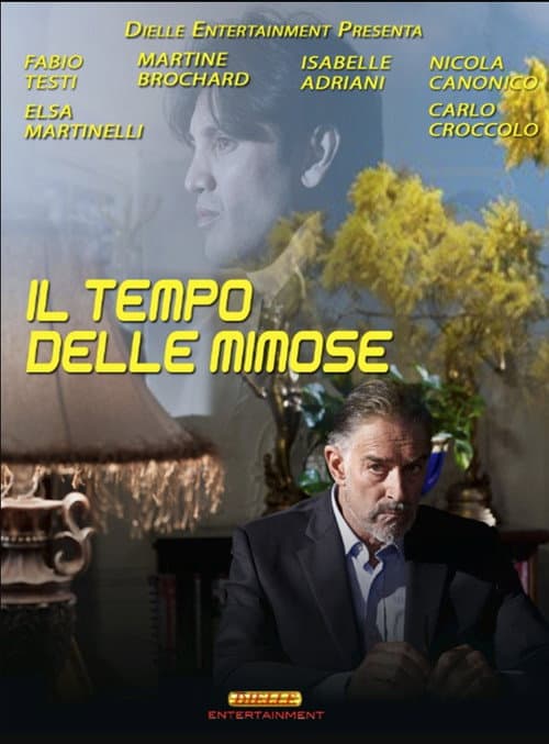 Постер: Il tempo delle mimose