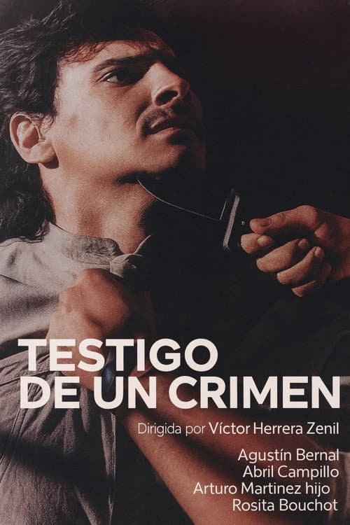 Постер: Testigo de un crimen
