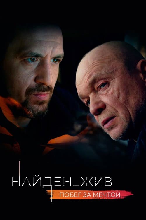 Постер: Найден_жив