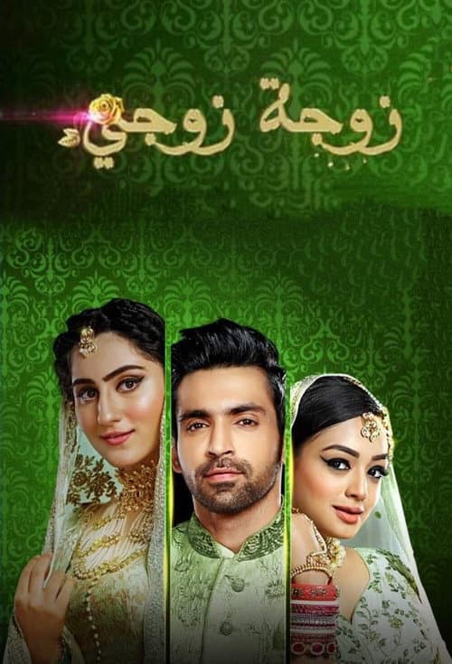 Постер: Bahu Begum