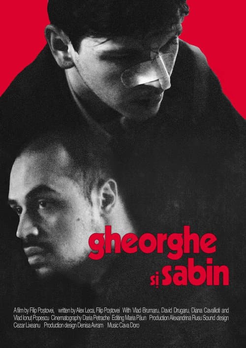 Постер: Gheorghe și Sabin