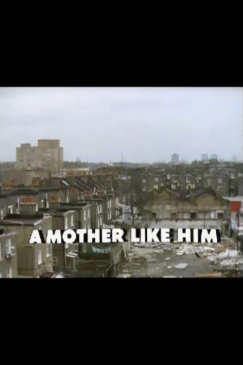 Постер: A Mother Like Him