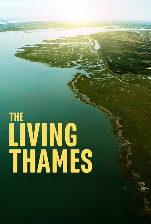 Постер: The Living Thames