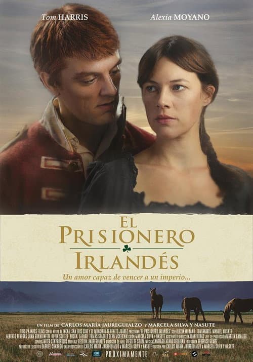 Постер: El prisionero irlandés