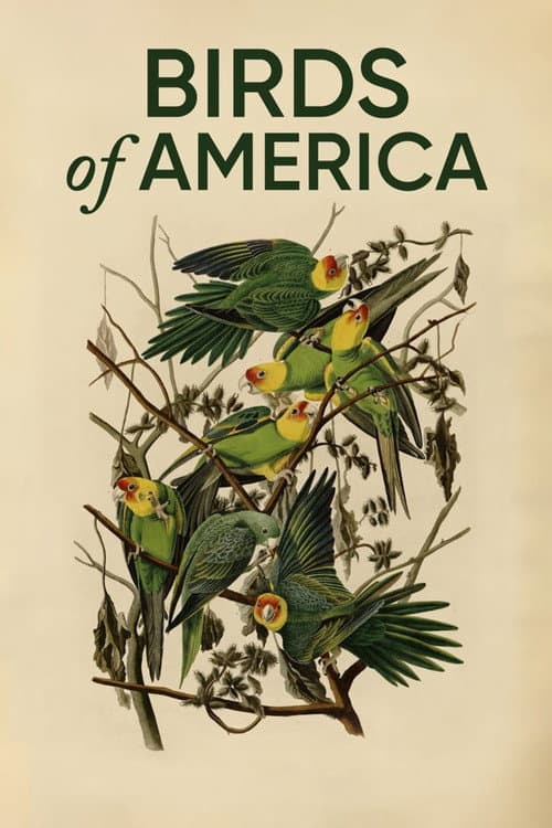 Постер: Birds of America