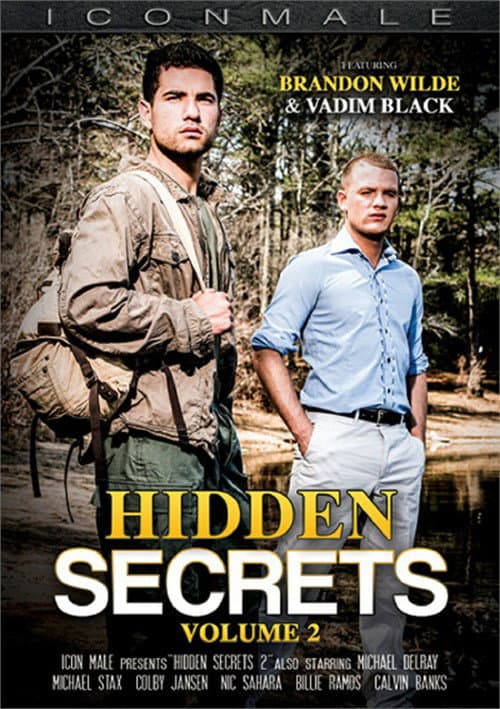 Постер: Hidden Secrets 2