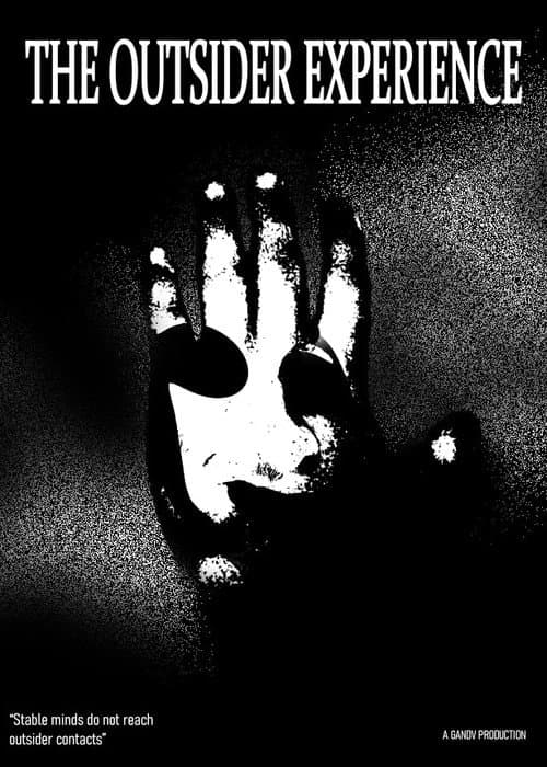 Постер: The Outsider Experience