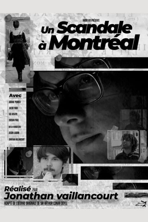 Постер: Un scandal à Montréal