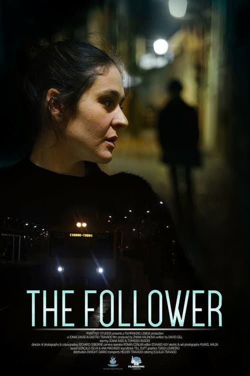 Постер: The Follower