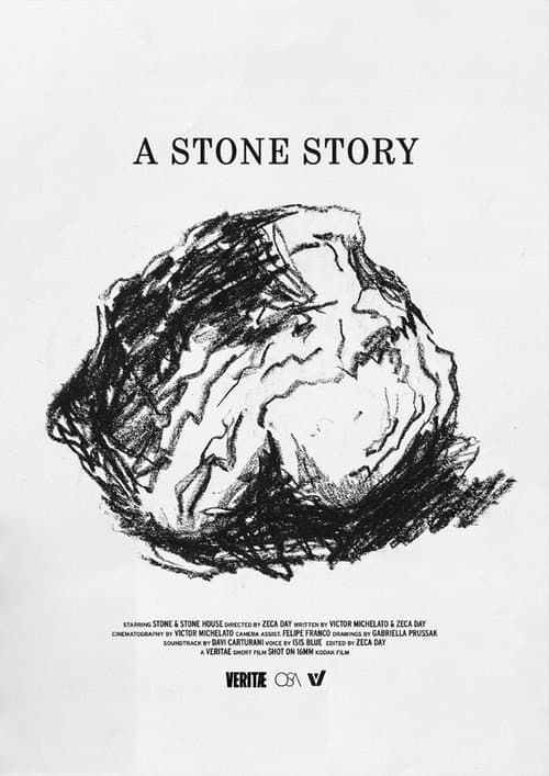 Постер: A Stone Story