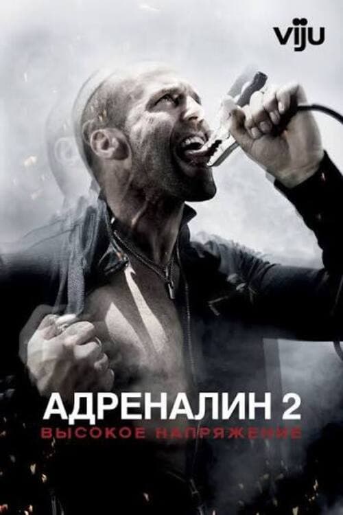 Кадр 12