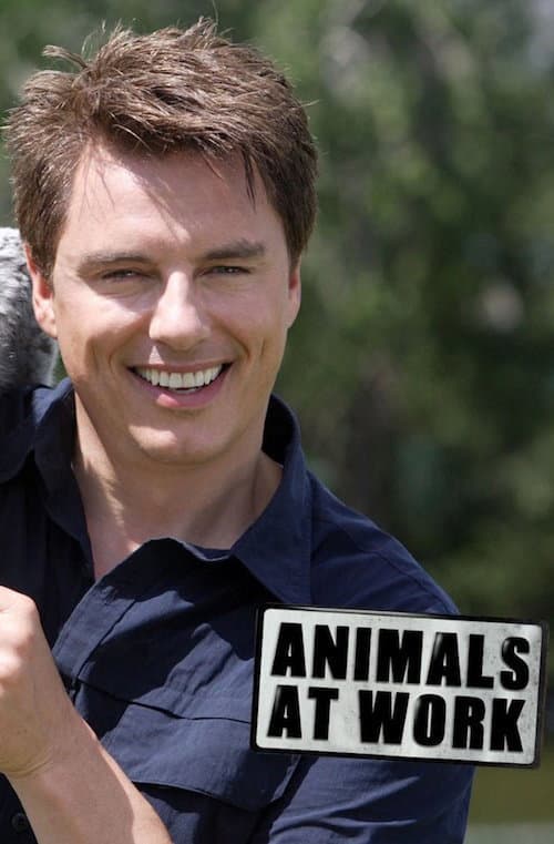 Постер: Animals at Work