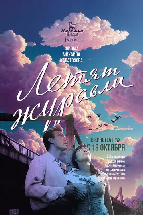 Кадр 7