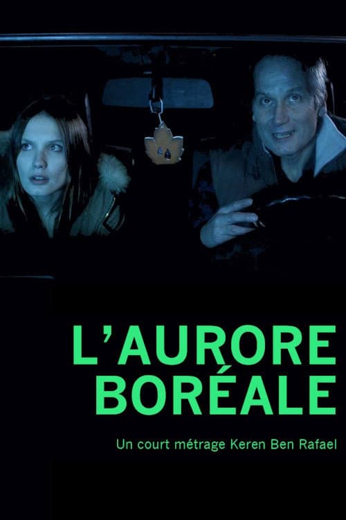 Постер: L'Aurore boréale