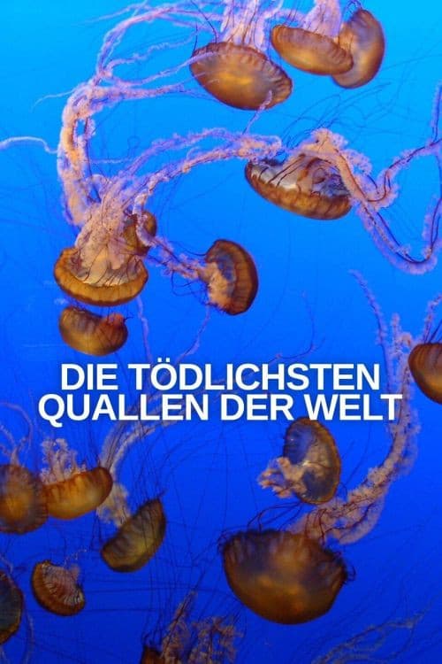 Постер: World’s Deadliest Jellyfish