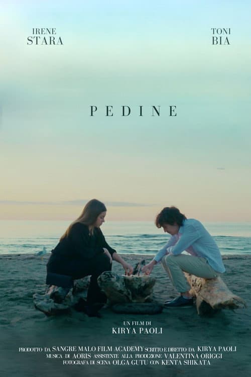 Постер: Pedine