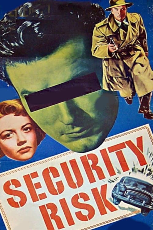 Постер: Security Risk