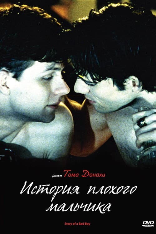 Постер: Story of a Bad Boy