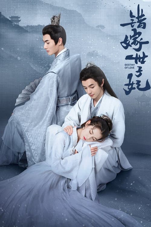 Постер: 错嫁世子妃