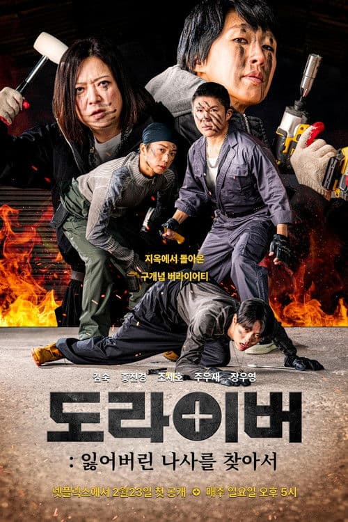 Постер: 도라이버