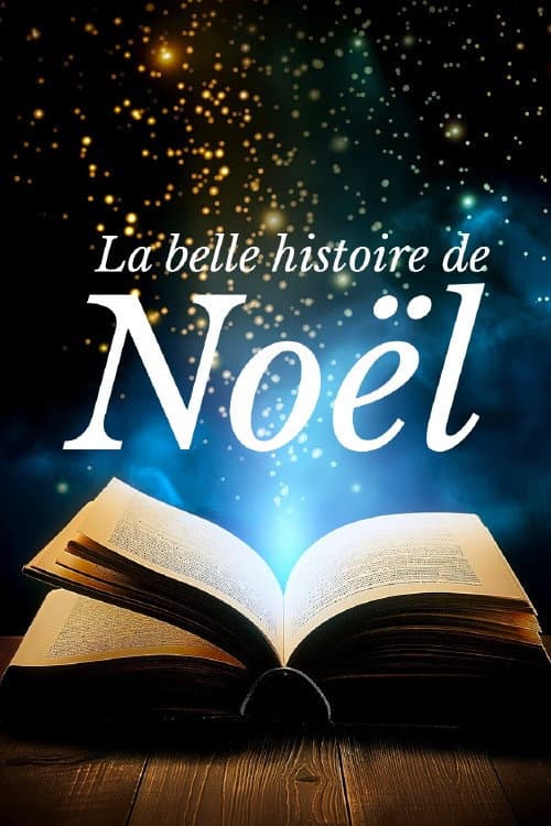 Постер: La belle histoire de Noël