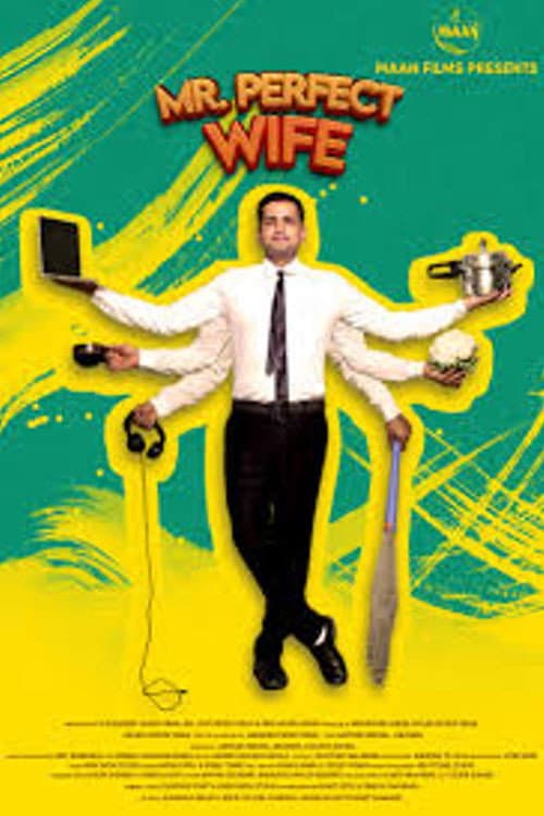 Постер: Mr Perfect Wife