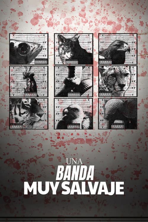 Постер: Una banda muy salvaje
