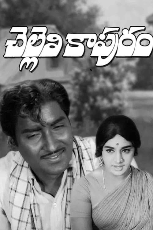 Постер: చెల్లెలి కాపురం