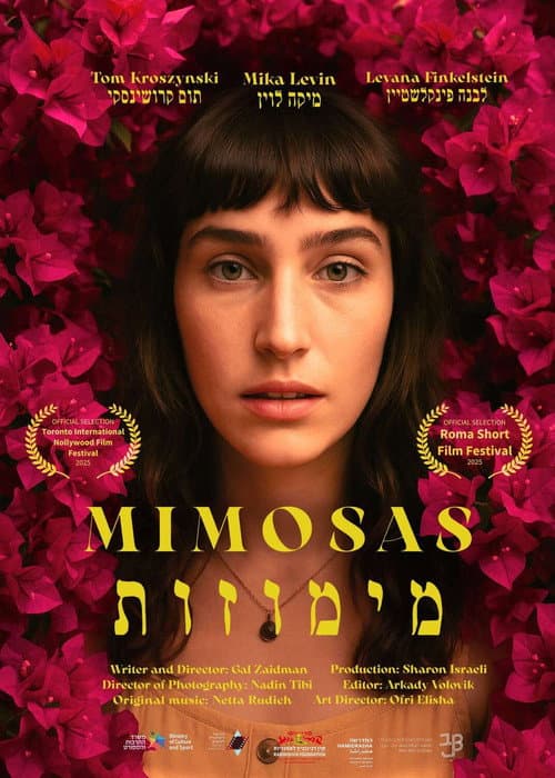Постер: מימוזות