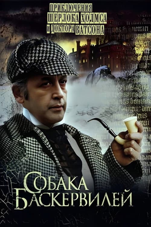 Кадр 2