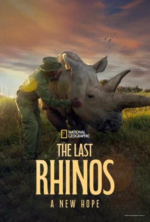 Постер: The Last Rhinos: A New Hope