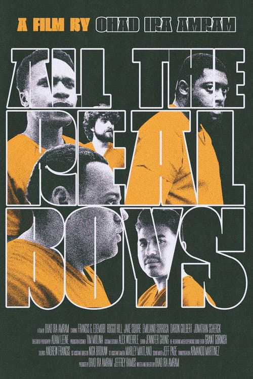 Постер: All the Real Boys