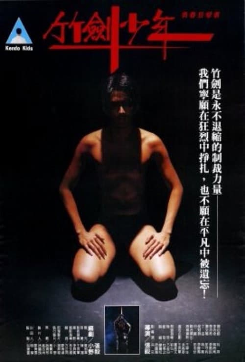 Постер: 竹劍少年