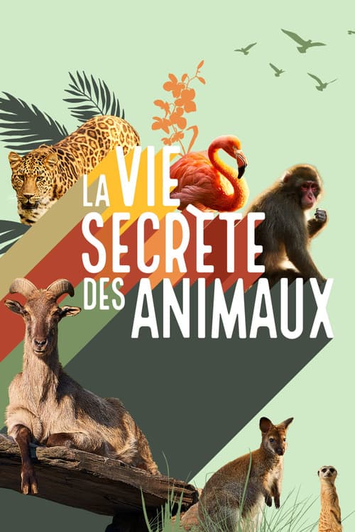 Постер: La vie secrète des animaux