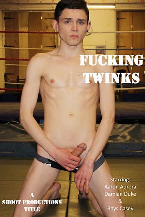 Постер: Fucking Twinks