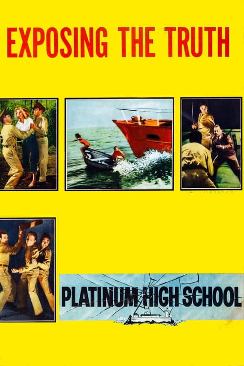 Постер: Platinum High School