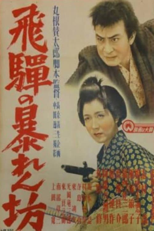 Постер: 飛騨の暴れん坊
